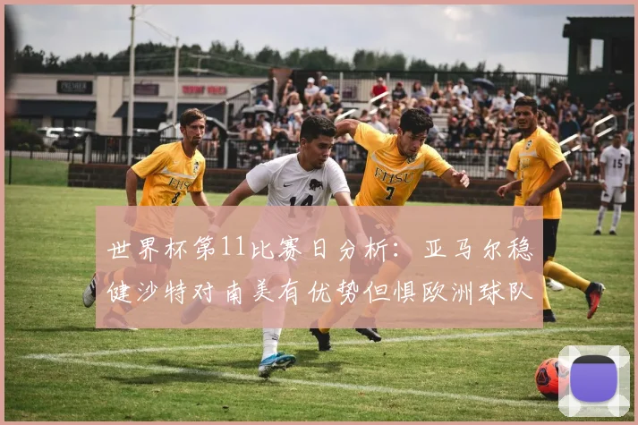 世界杯第11比赛日分析：亚马尔稳健沙特对南美有优势但惧欧洲球队