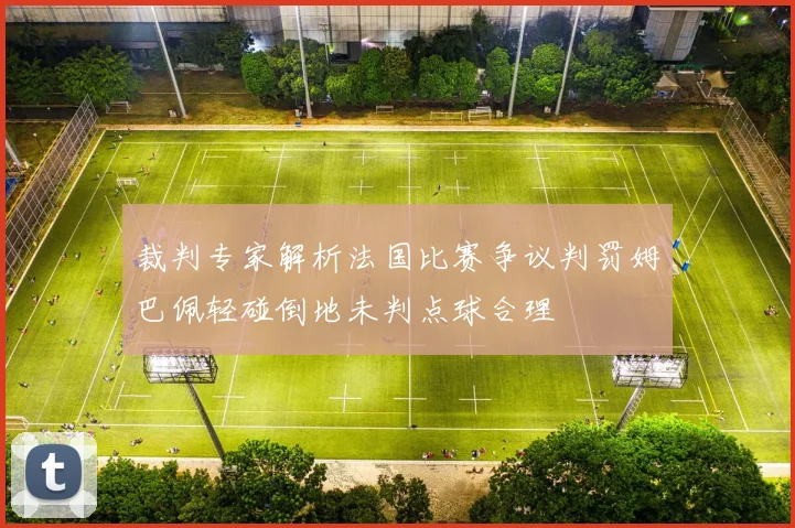 裁判专家解析法国比赛争议判罚姆巴佩轻碰倒地未判点球合理