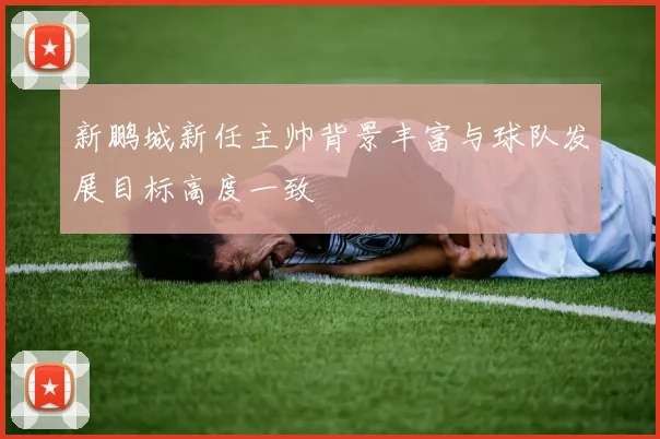 新鹏城新任主帅背景丰富与球队发展目标高度一致