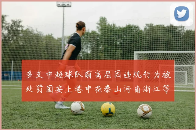 多支中超球队前高层因违规行为被处罚国安上港申花泰山河南浙江等队受影响